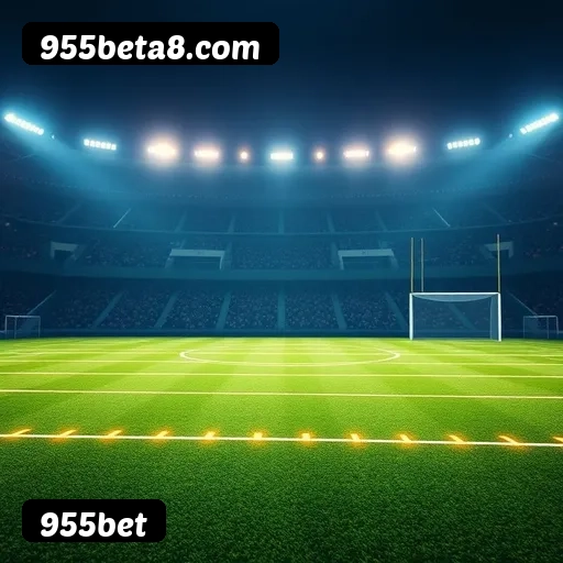 Níveis do programa VIP da 955bet